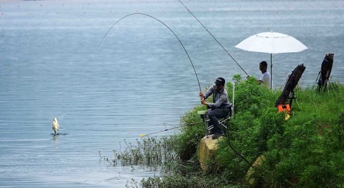 Kỹ Thuật Quăng Dây Câu Cá Cơ Bản, bạn nên thảm khảo