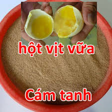 mồi câu cá chim